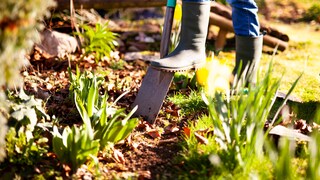 Skip the Digging?