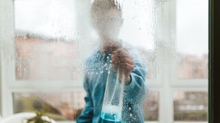 Window Cleaning