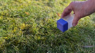 Salt Against Weeds in the Lawn