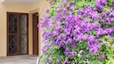Green Walls