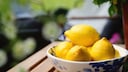 For those who want to be on the safe side, choosing organic lemons is advisable, as both chemical pesticides and preservative treatments are prohibited in organic farming.