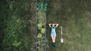 Difference Between Allotment Garden and Recreational Garden