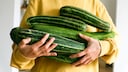 If you want to use an oversized zucchini, there are a few things to keep in mind.