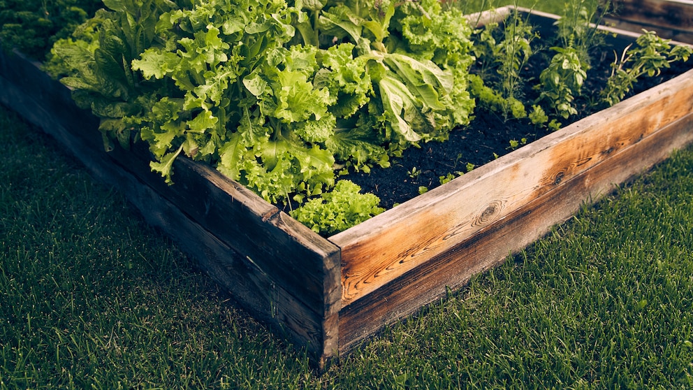 Square foot gardening is gaining popularity among those with limited space.
