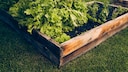 Square foot gardening is gaining popularity among those with limited space.