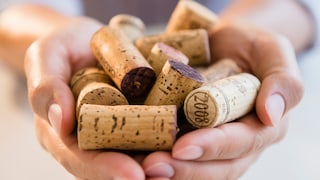 Cork Against Flies
