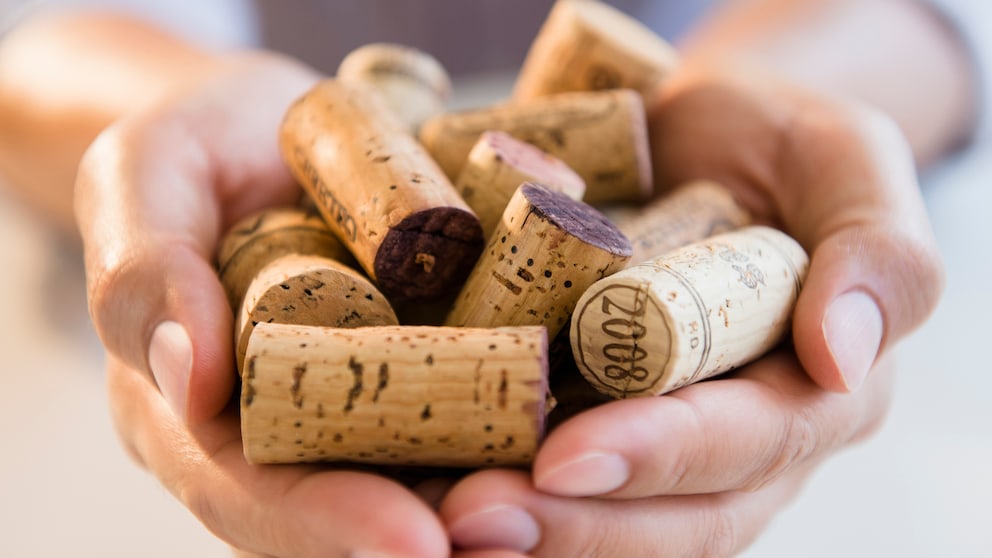 Cork Against Flies
