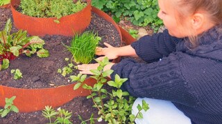 A herb spiral not only looks attractive, but its design also serves a specific purpose.