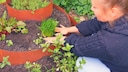A herb spiral not only looks attractive, but its design also serves a specific purpose.