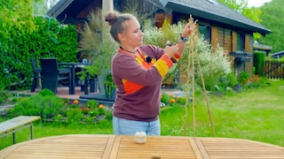 Bean Tipi
