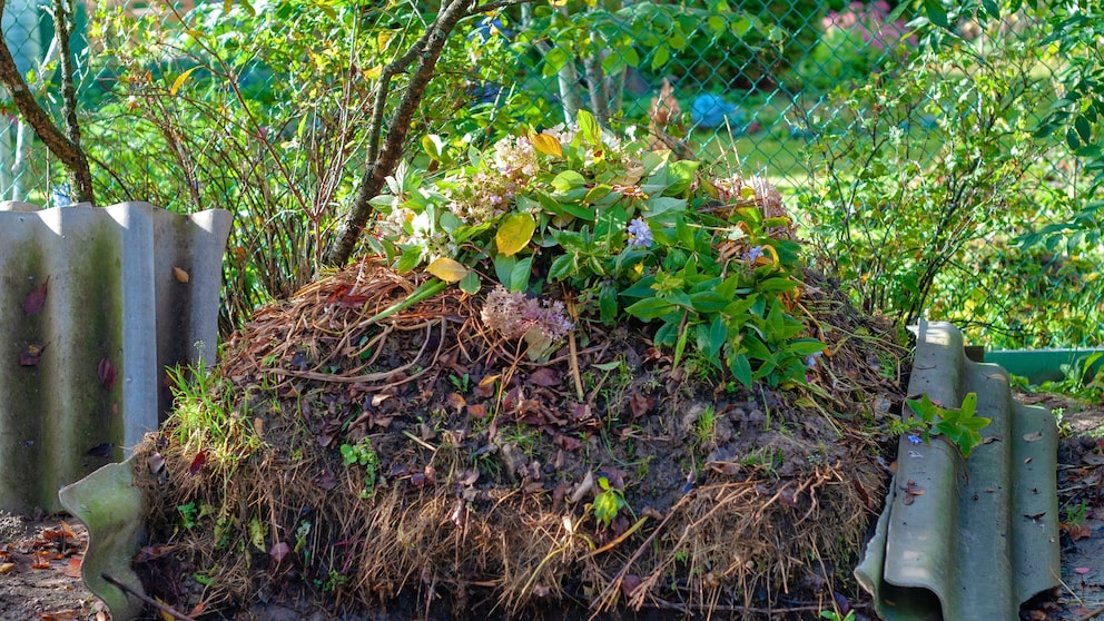 Compost offers numerous benefits for the soil, but mistakes can easily occur when setting it up.