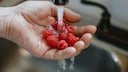 To keep raspberries fresh for longer, there are several tips consumers should follow.