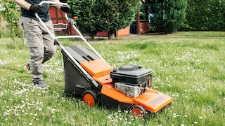 If you want a well-maintained lawn, regular mowing is essential.