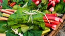 Rhubarb should be used quickly after harvest