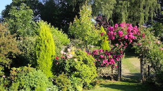 Where blossoms climb and colors flow, the garden becomes a romantic backdrop.