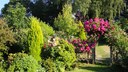 Where blossoms climb and colors flow, the garden becomes a romantic backdrop.