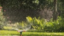 Many still have a simple lawn sprinkler at home, but there are also alternatives.