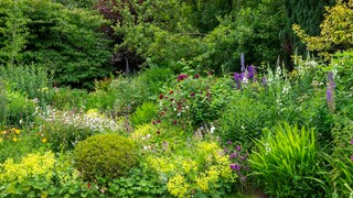 Natural Insect Watering Stations