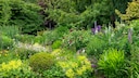 Natural Insect Watering Stations