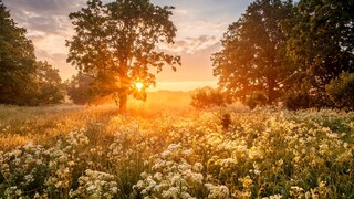 The "Schafskälte" is a brief period in June when it can become cooler again.