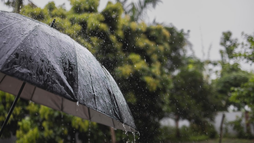 According to a traditional farmers' saying, St. Medardus Day is believed to predict the weather for the coming weeks.
