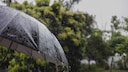 According to a traditional farmers' saying, St. Medardus Day is believed to predict the weather for the coming weeks.