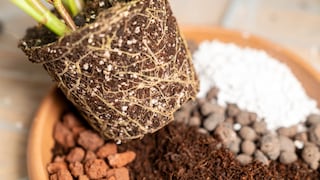 Perlite, vermiculite, and zeolite are considered soil enhancers.