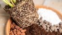 Perlite, vermiculite, and zeolite are considered soil enhancers.