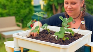 With a children's raised garden bed, you can introduce young ones to nature and teach them through play.