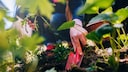 Those who plant regularly should not only consider the price when choosing a trowel.