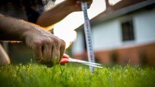 Many people wonder how tall the perfect lawn should be—it depends.