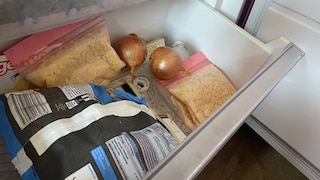 Can you freeze onions if you've bought too many and don't want to store them?