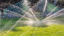 Watering Lawns in Heat