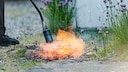 Weeds along paths or between paving stones are unsightly, but is it permissible to simply burn them?