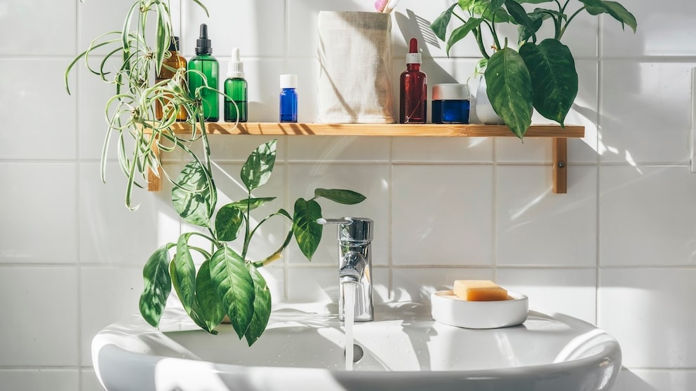 In the bathroom, you should do a thorough cleaning at least once a week.