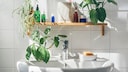 In the bathroom, you should do a thorough cleaning at least once a week.