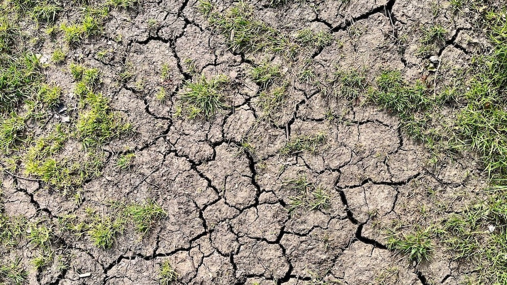 Heat Wave Garden Soil