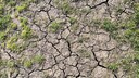Heat Wave Garden Soil
