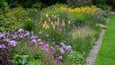 New Perennial