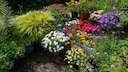 Pot Gardening