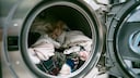 Lint in Washing Machines