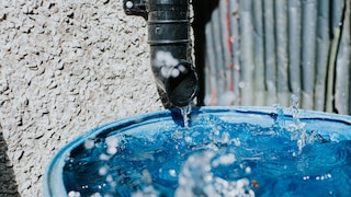 Cleanliness is also important for collected rainwater. But how often should the rain barrel be cleaned?