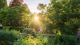 With sponge gardens, you can prepare your green space for all kinds of temperatures.