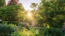 With sponge gardens, you can prepare your green space for all kinds of temperatures.