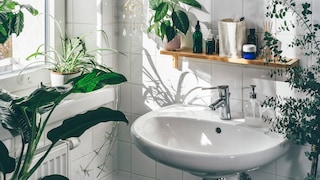 In the bathroom, you should do a thorough cleaning at least once a week.