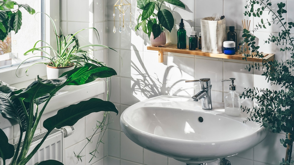 In the bathroom, you should do a thorough cleaning at least once a week.