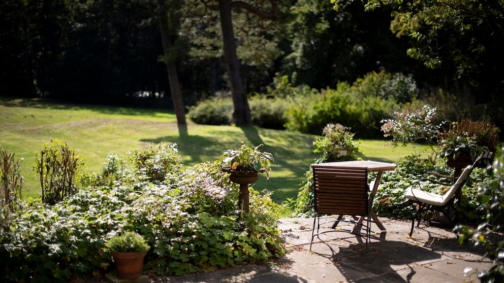 Microclimate Garden
