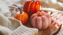 For many, autumn signifies change, which is why the entire house is redecorated during this season.