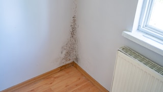 How should furniture be arranged in the home to prevent mold from having a chance to develop?
