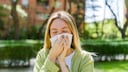 Allergy Pollen